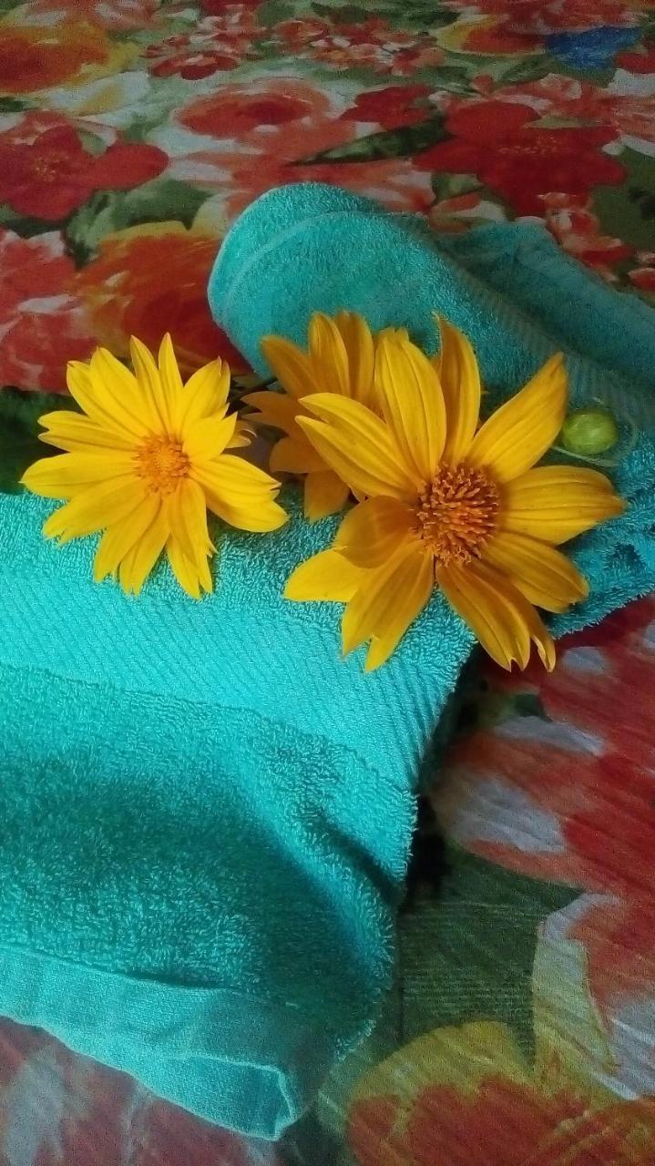 By The C' Cabanas Хикадува Екстериор снимка
